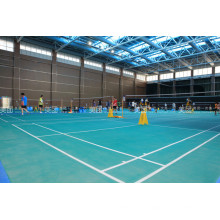 Prefab Steel Structure Badminton Hall with Low Cost